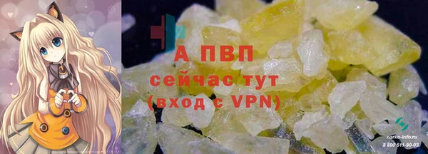 прущие грибы Богданович
