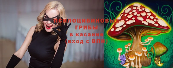 бошки Беломорск