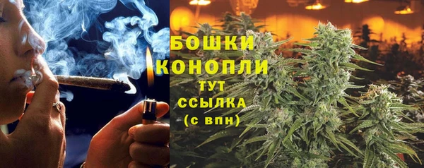 соль ск Белокуриха