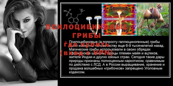 ПСИЛОЦИБИНОВЫЕ ГРИБЫ Богородск