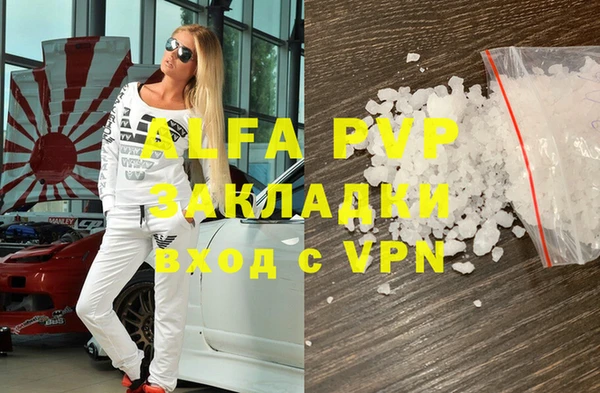 прущие грибы Богданович