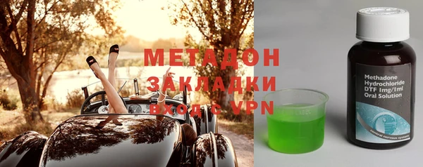 прущие грибы Богданович