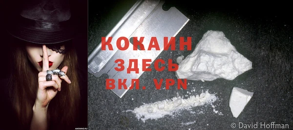 соль ск Белокуриха