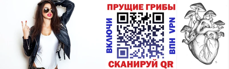 Галлюциногенные грибы Psilocybe  наркошоп  Рыбинск 